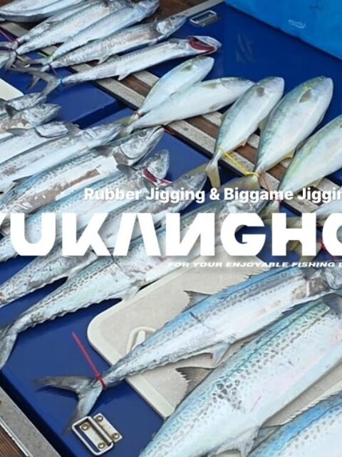Пусан 28 февраля: тихое начало, а после половины одиннадцатого ветер