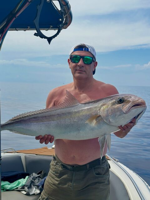 Амберджек из Олюдениза: крупный хищник после морской борьбы