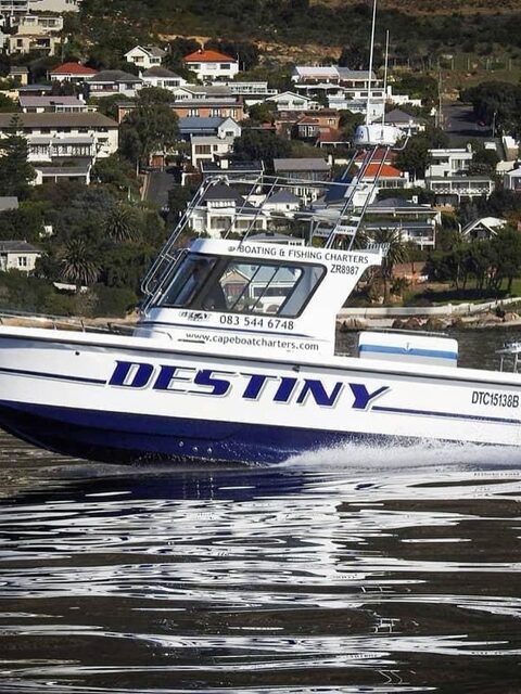 Cape Boat Charters предлагает рыболовный или прогулочный эко-выход