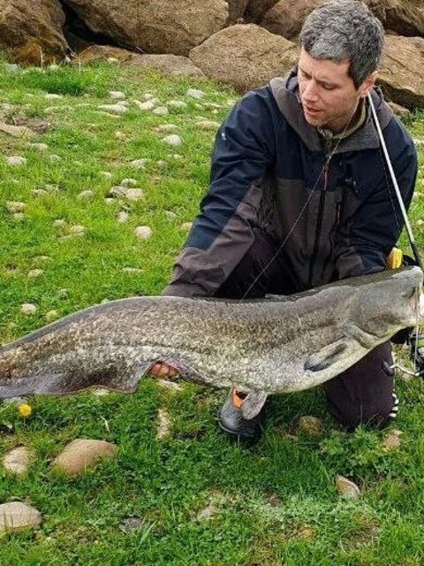 Сом 14 кг на Кубани: блесна у дна, сто метров рывка и случайный зацеп за хвост