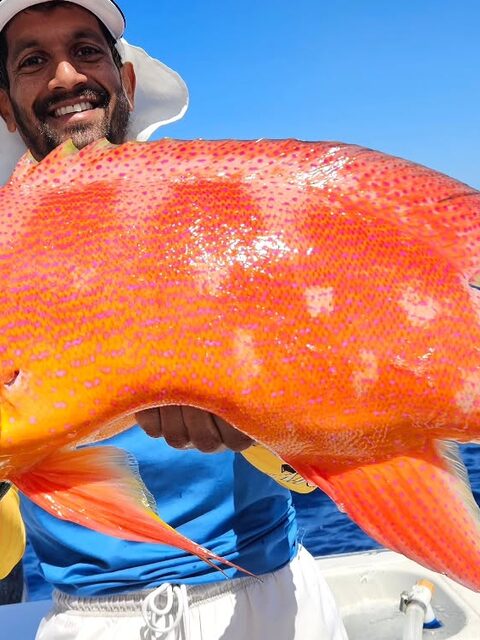 Групер на донную снасть: наш морской улов у Реюньона