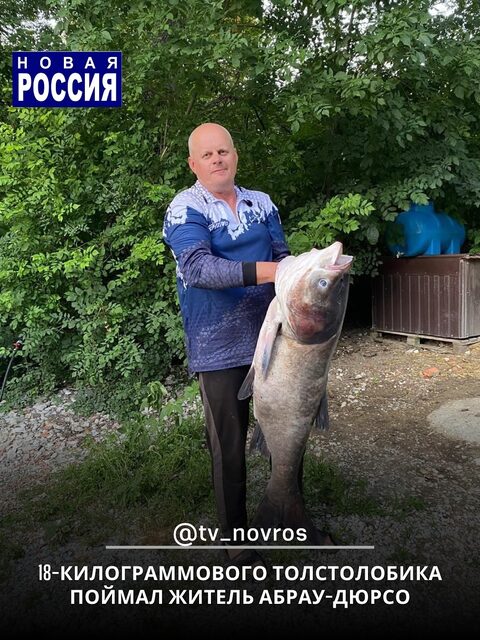 Толстолобик 18 кг на озере Абрау: Андрею помог турист на SUP-борде