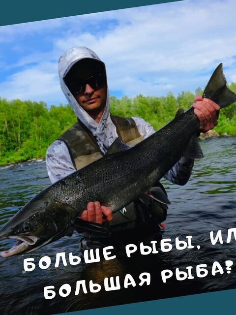 Печенга от большой воды до тинды: наблюдения о ходе сезона