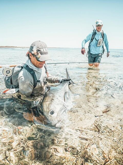 Космоледо на Сейшелах: атолл в публикации Blue Safari Fly Fishing