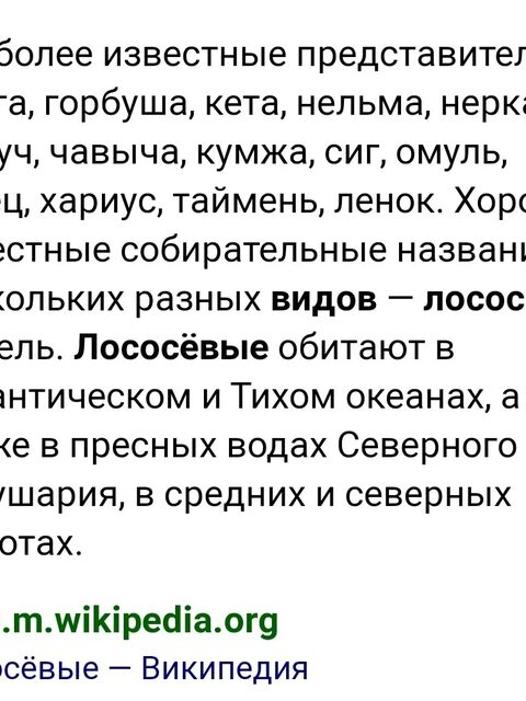 Горбуша из Охотского моря: сетевой улов, быстрая икра и свежая уха