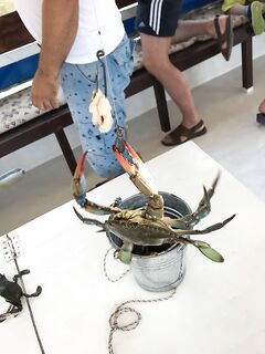 Дальян: ловили крабов рядом с ликийскими гробницами