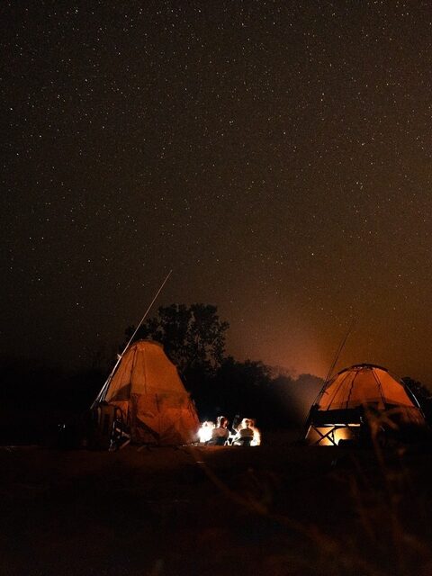 Первая неделя на Фаро: нильский окунь и тигровая рыба у Gassa Camp