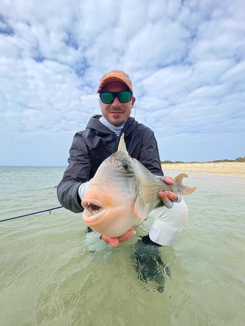 Вспоминаем суданских спинорогов, которых ловили нахлыстом и отпускали