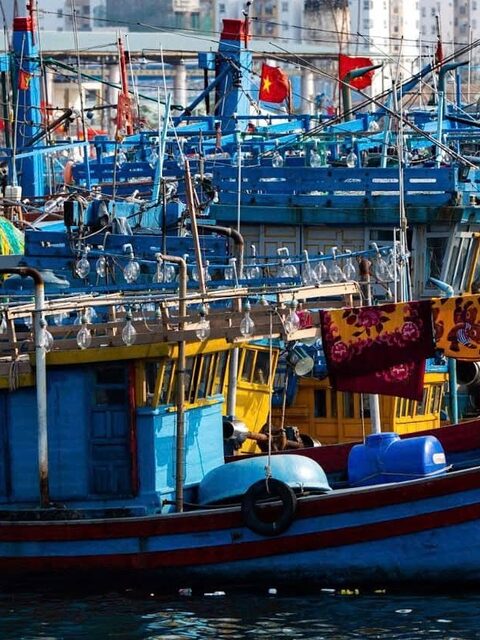 Тхокуанг у Сон-Тра: утренняя выгрузка в рыбацком порту Дананга