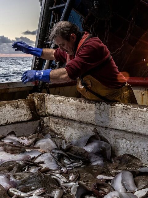 Неделя в Ирландском море на траулере Eblana из Хоута