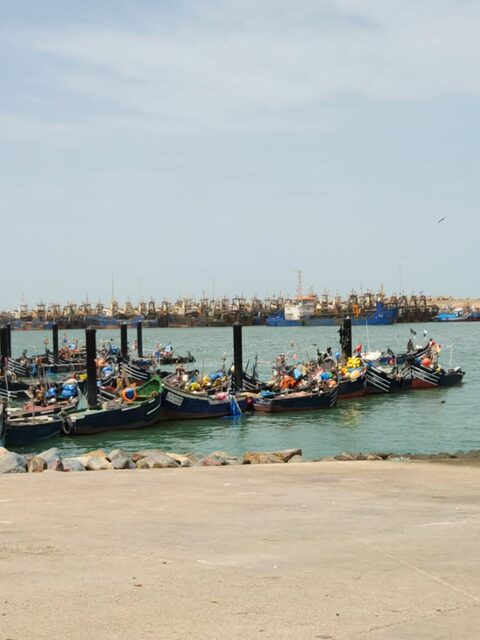 У Эль-Уатии в Тан-Тане выбрались на морскую рыбалку