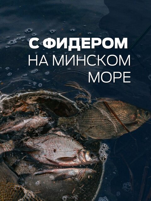 Весенний фидер у Минска: Гонолес, Лапоровичи и первый пляж