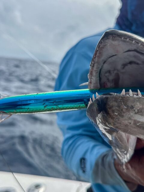 В Вануату с Dropcast Fishing взяли один из самых памятных уловов