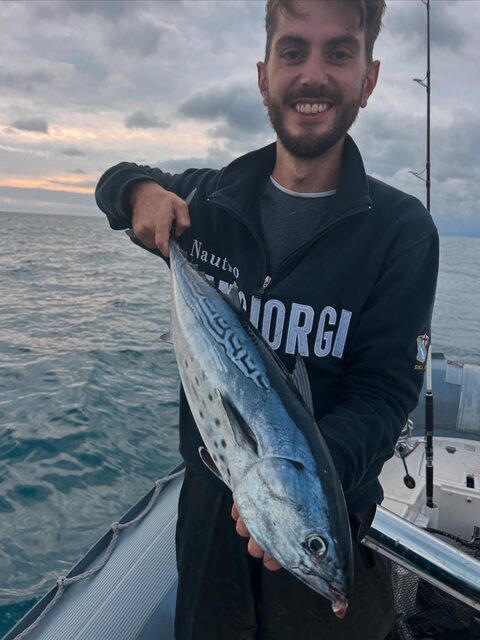 Зимнее жирование малых тунцов в Лигурийском море