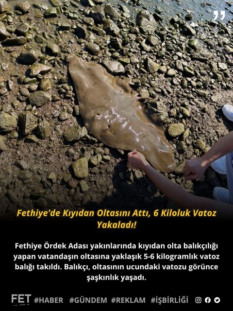 У острова Ördek Adası возле Фетхие на удочку попался скат 5-6 кг