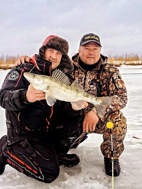 Последний лед на Обском море: лещ 3,5 кг и судак на комбайны