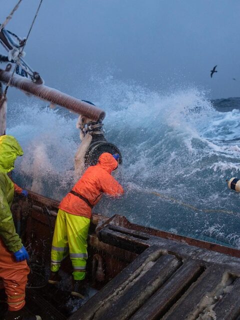 Arctic Lady вышла из Кадьяка к Берингову морю с 211 ловушками
