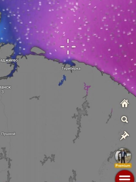 Волны в прогнозе Windy на 26 апреля 2025-го