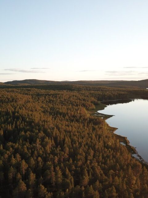 На Белом море, у озера Нижнее Попово: треска на джиг с силиконом в Карелии