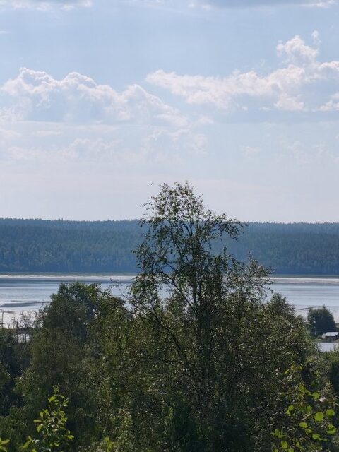 Необычный отлив на прощание с Белым морем и сезон, который запомнился мошкой