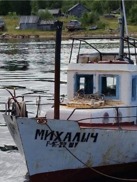 Бело-синий "Михалыч" у деревянного причала