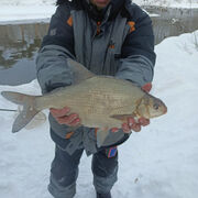 Алексей бирюков