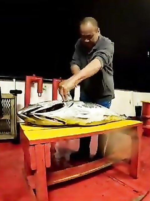 Рыбалка на Альборанском море
