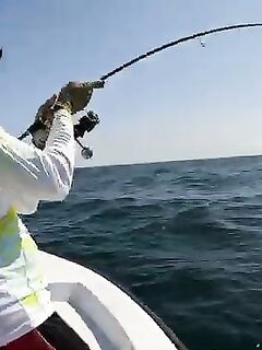 Рыбалка в Персидском заливе