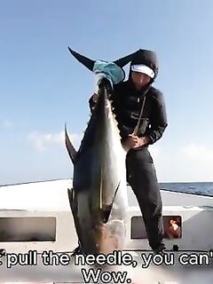 Рыбалка в Оманском заливе