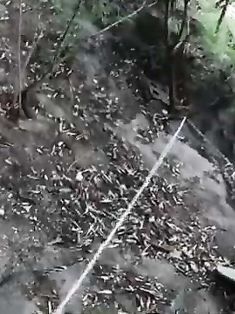Рыбалка на Тиморском море