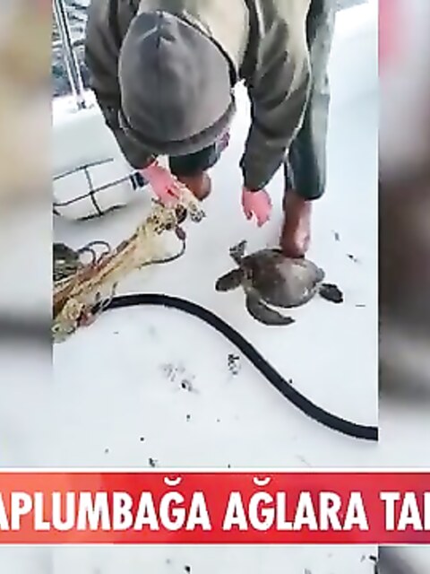 Рыбалка в Тюркбюкю