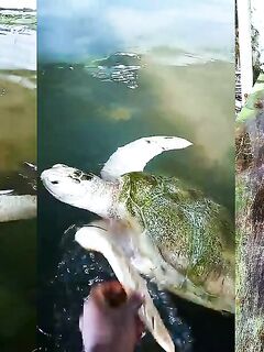 Рыбалка в Алутгаме