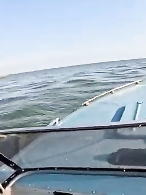 Рыбалка в Анаклии