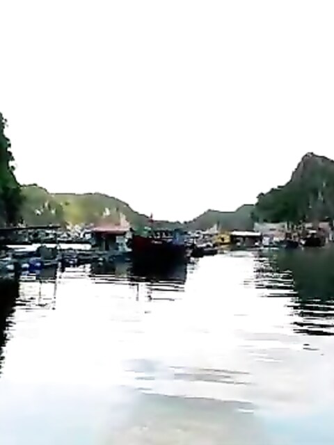 Рыбалка в бухте Ланха