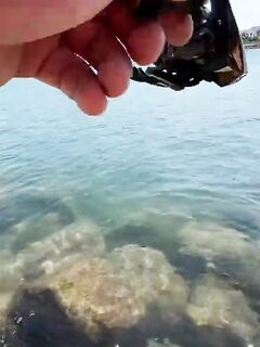 Рыбалка в Бодруме