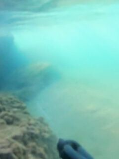 Рыбалка в Газипаше