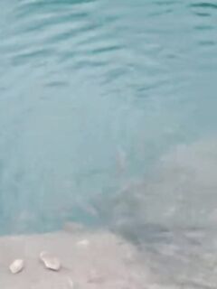 Рыбалка в Гейнюке