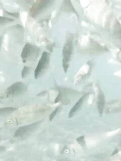 Рыбалка в Ичмелере