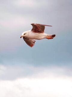 Рыбалка в Финике