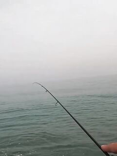 Рыбалка в Гудауте