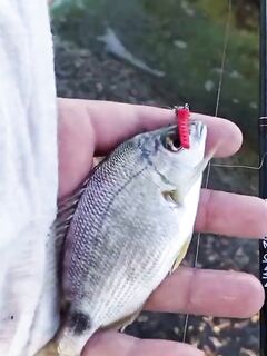 Рыбалка в Кабардинке