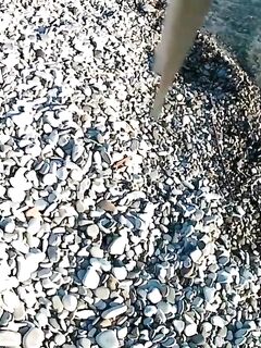 Рыбалка в Небуге