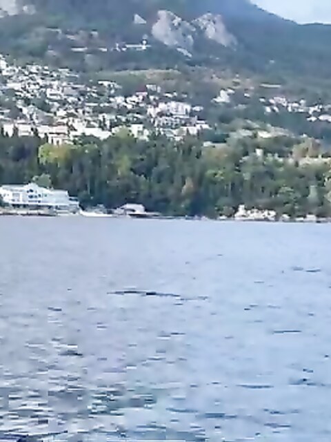 Рыбалка в Кацивели