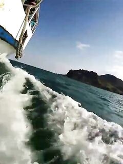 Рыбалка в Коктебеле