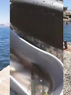 Рыбалка в Судаке