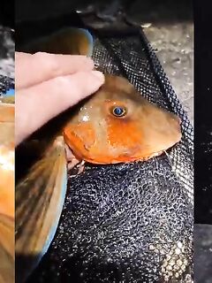 Рыбалка в Ялте