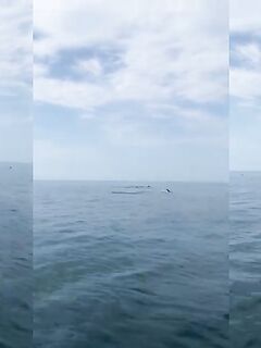 Рыбалка в Имеретинской бухте