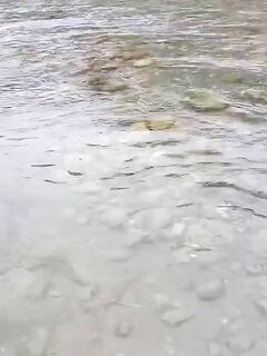 Рыбалка на реке Псезуапсе