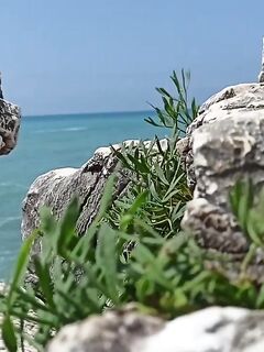 Рыбалка на Белых скалах, Хоста (каньон)