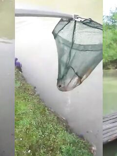 Рыбалка в Мацесте